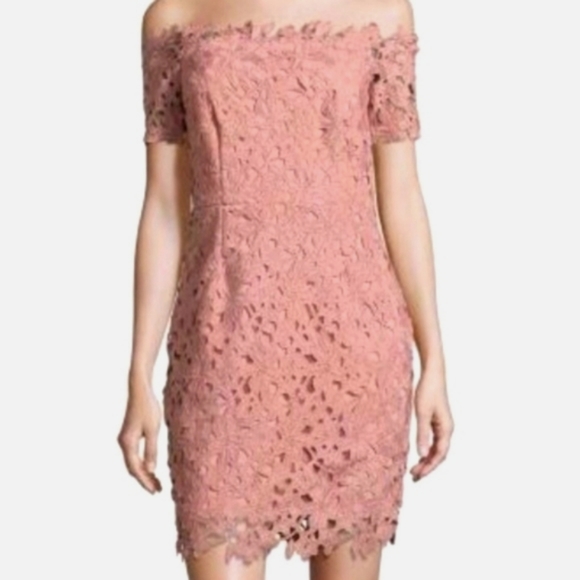 NWOT Design Lab Dusty Pink/Rose Lace dress - Picture 1 of 12